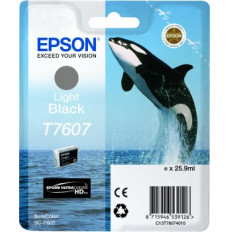 Epson Ink Cartridge Light Black
