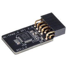 MB ACC TPM MODULE/GC-TPM2.0 SPI 2.0 GIGABYTE